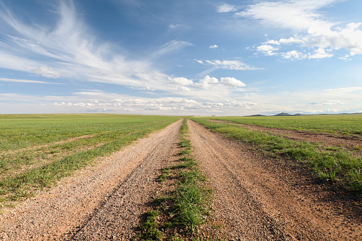 Scenic view of empty road passing through grassy landscape, Guchin us, Mongolia.