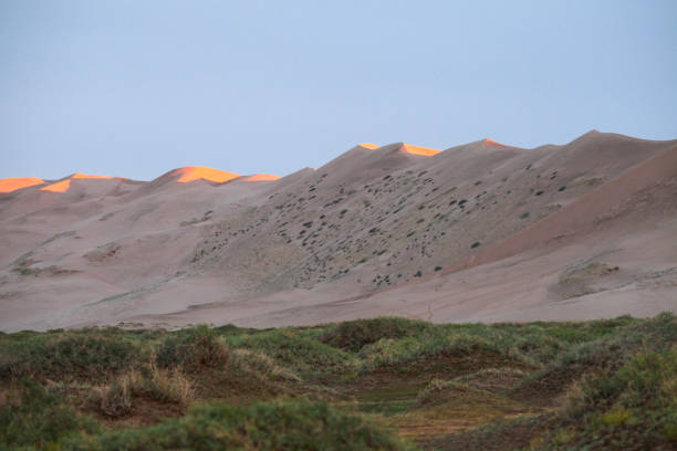 Scenic view of Khongoryn Els sand dunes with grass growing in foreground, Gobi Gurvansaikhan National Park, Mongolia.