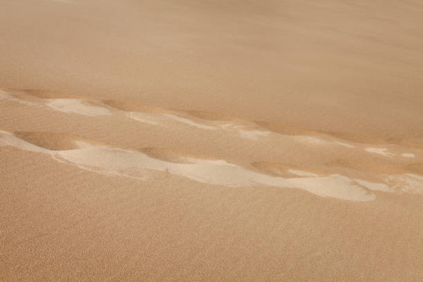 istock Khongoryn Els sand dunes in Gobi Desert 1466694351