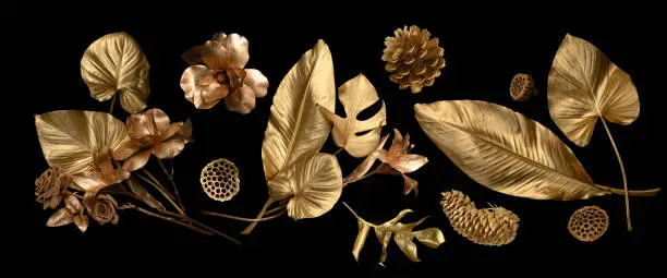 Photo of Tropical leaves gold and black, can be used as background(Monstera,palm,coconut)fern,clipping path