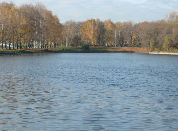 istock autumn in city park 1466699648