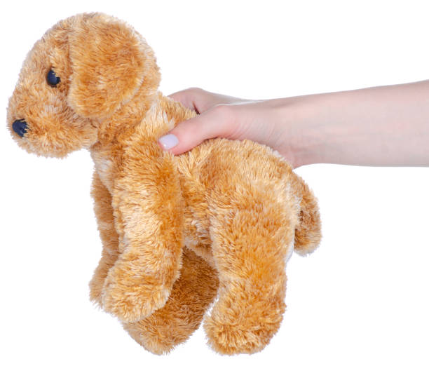 istock Soft toy dog in hand 1466700391