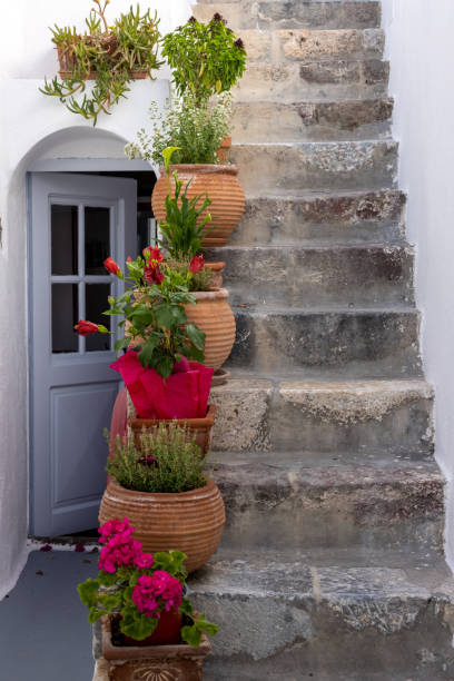 istock Ceramic flower pots on steep stone steps at Imergovigli, Santorini, Greece 1466700967