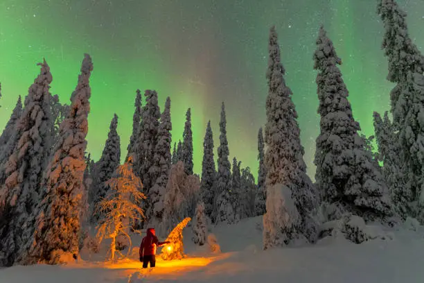 Photo of Man in the wood under northern lights, Lapland