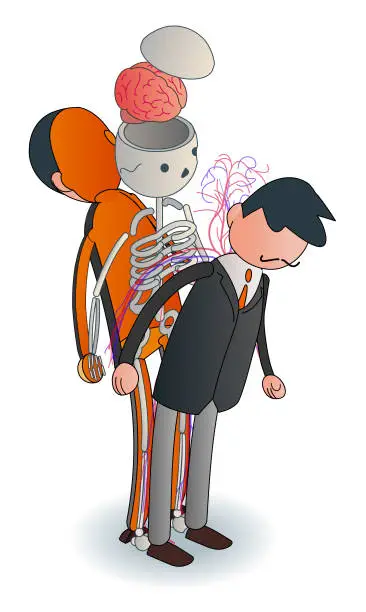 Vector illustration of human anatomy