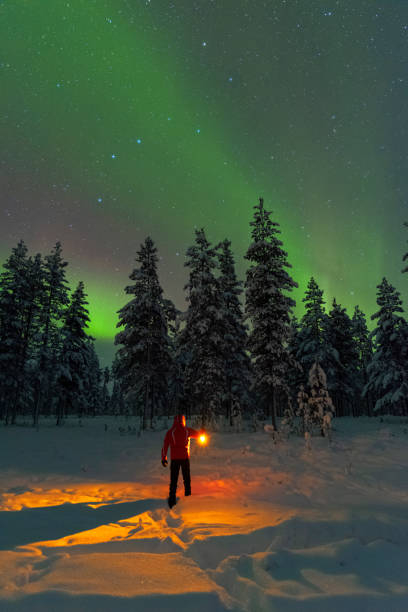 istock Man with lantern in the forest under northern lights 1466703955