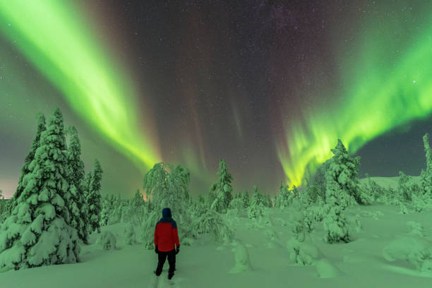istock Aurora borealis and a man in the forest 1466704314