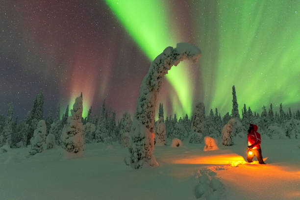 istock Man in the snow-capped forest under northern lights 1466704438