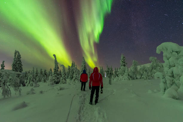 istock Hikers under northern lights 1466705675