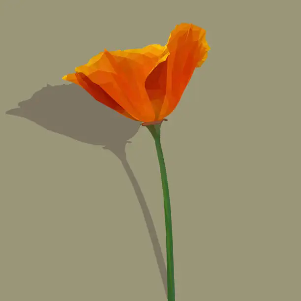 Vector illustration of Orange and Red Tulip Illustration