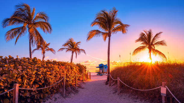 miami beach sunrise at miami beach, florida south beach stock pictures, royalty-free photos & images
