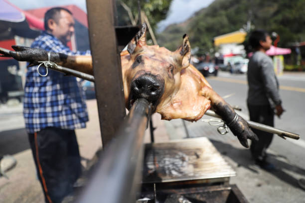 Porchetta di Ariccia  is typical food of Rome area and is a succulent, boneless Italian pork roast.