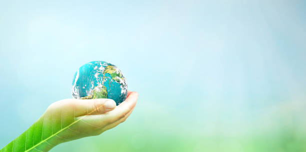 istock Human hands holding earth globe over blurred green nature and blue sky background. Elements of this image furnished by NASA 1466709695