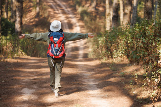 istock Rear-view of Asian female adventurous exploring the forest 1466711518
