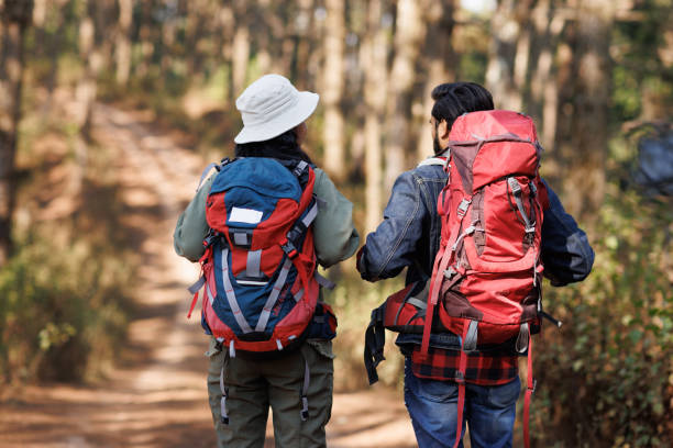 istock Rear-view of adventurous couple exploring the forest 1466711595