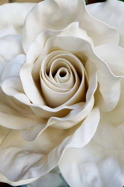 istock The artificial white roses flower 1466713116