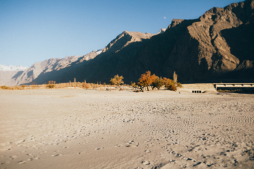 The sands dune with trees among the Himalayan valley in Skardu, Pakistan