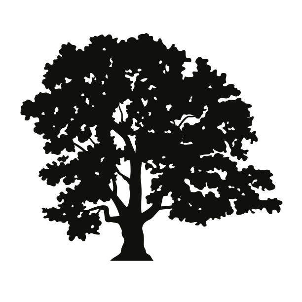 Oak Tree vector art illustration