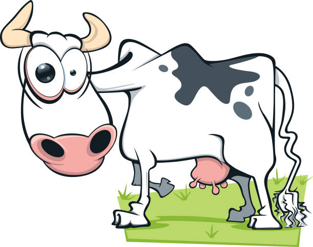 Cartoon Cow vector art illustration