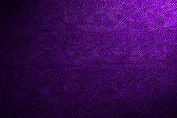 snake skin texture