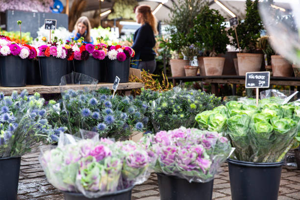 istock Torvehallerne market in Copenhagen 1466721179
