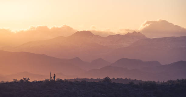 Sunrise with saguaro cactus silhouettes and snow-covered Superstition Mountains in the distance Sunrise with saguaro cactus silhouettes and snow-covered Superstition Mountains in the distance sonoran desert stock pictures, royalty-free photos & images