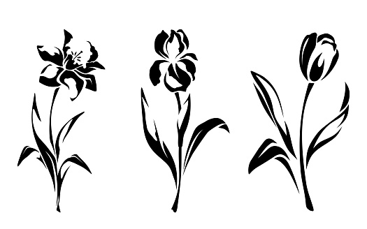 Narcissus, iris, and tulip flowers. Set of black silhouettes of flowers isolated on a white background. Vector illustration