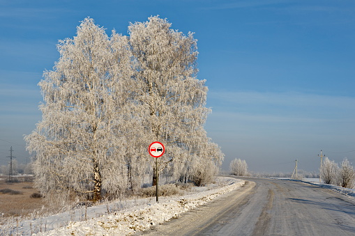 Russia. South of Western Siberia, Kuzbass. Winter trees covered with frosty white frost along the road to the village of Aspen Pleso.
