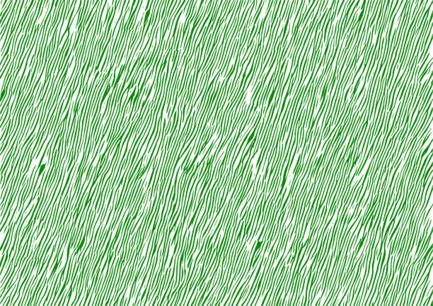 Vector illustration of windy green grass texture on white background