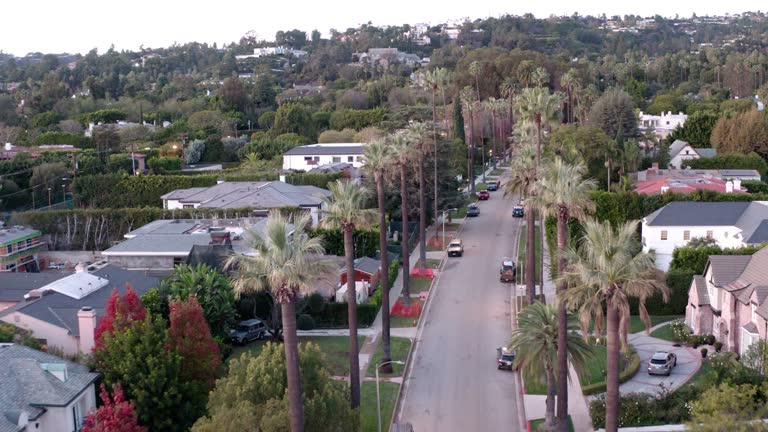 Aerial drone of palm tree lines street in Beverly Hills neighborhood in Los Angeles at daylight