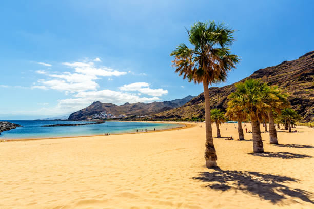 playa de las teresitas in tenerife - tenerife spain santa cruz de tenerife canary islands imagens e fotografias de stock