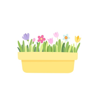 Long pot with spring flowers. Cartoon flat vector illustration.