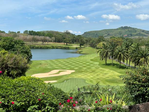 golf course sports green grass and trees on golf course fairway putting green bangkok thailand - sports flag high angle view putting sand imagens e fotografias de stock