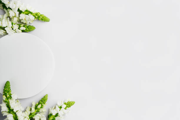 istock Empty round podium and white flowers on light grey background top view. Pedestal and fresh natural green branches for cosmetic advertising. Product presentation mockup. Eco spring concept. Copy space 1466740919