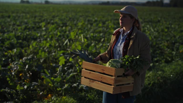 Female farmer carrying crate of harvested vegetables on sunny farm