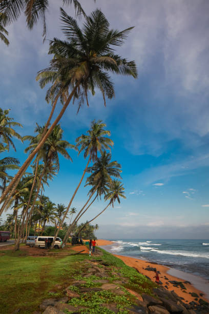 istock palm trees ocean beach sri lanka 1466745933