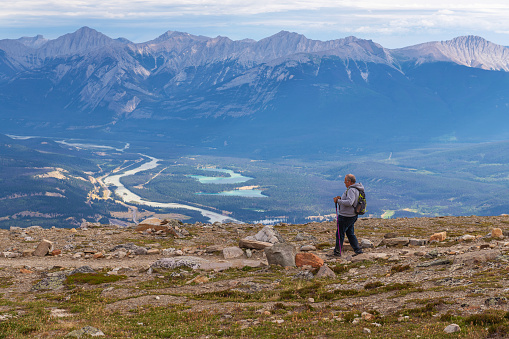 Senior man with walking sticks hiking down the Whistler mountain peak hike, Jasper national park, Canada.