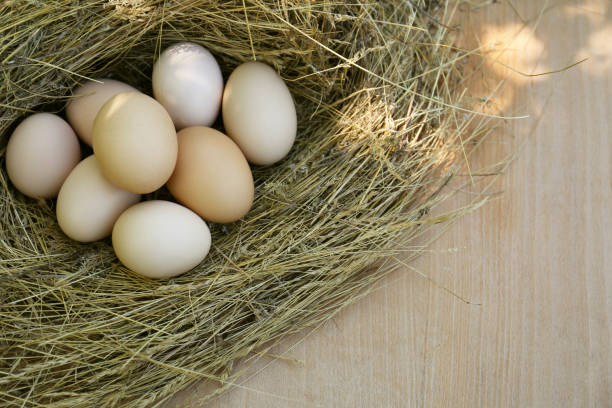 istock Nest with fresh raw eggs on wooden table, top view. Space for text 1466751226