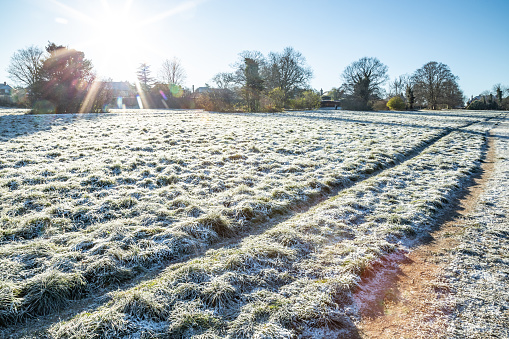 Early morning frost Merrow Downs footpath Guildford Surrey England Europe