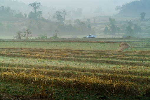 Landscape of agricultural field at Ban Na Mom village, Wiang Haeng district, Chiang Mai province, Thailand.