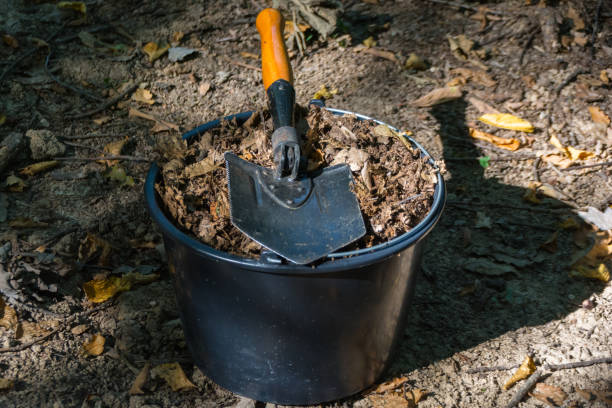 istock collecting dried leaves from forest to compost 1466761647