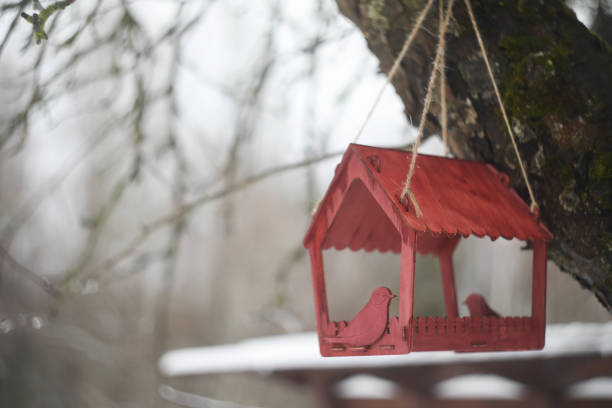 Close-up of a bird feeder on a tree under the snow in the forest