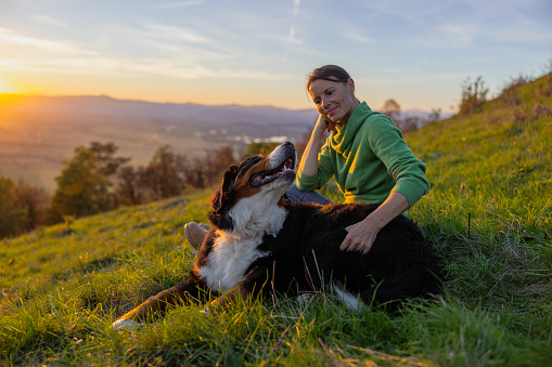 Thoughtful female tourist with hand on chin looking at Bernese Mountain Dog while relaxing on grassy mountain against sky during sunrise
