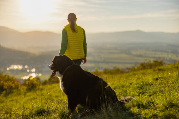 istock Female tourist looking at view while standing with Dog on mountain 1466767000
