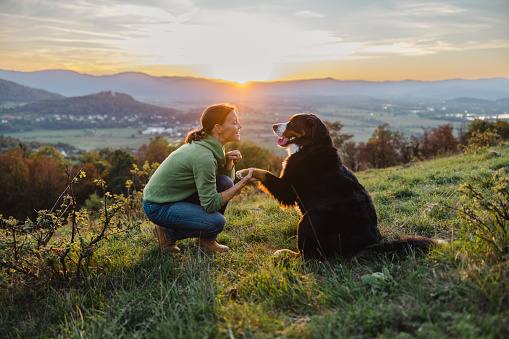 Female explorer holding paw of Bernese Mountain Dog while crouching on grassy mountain against sky during sunrise