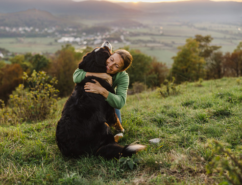 Smiling female tourist embracing Bernese Mountain Dog on grassy mountain against tranquil view of landscape during sunrise