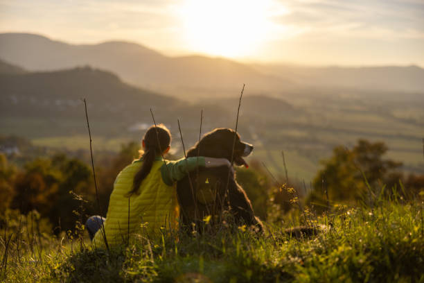 istock Woman with Bernese Mountain Dog looking at mountain range 1466767070