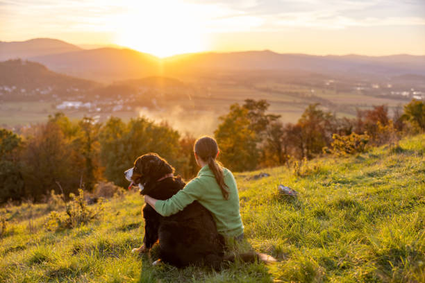 turista con perro de montaña bernés disfrutando de vacaciones en la montaña - natural looking fotografías e imágenes de stock