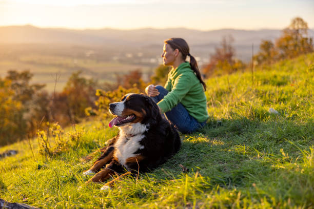 istock Tourist looking at view while relaxing with Dog on grassy mountain 1466767086