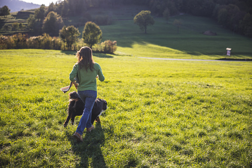 Rear view of playful female tourist running with Bernese Mountain Dog on grassy landscape while enjoying weekend getaway